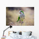 Quaker Parrot Na Krzaku Wall Mural