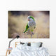 Quaker Parrot Na Krzaku Wall Mural