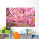 Kawazu Sakura Wall Mural