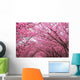 Sakura Arch