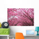 Sakura Arch