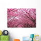 Sakura Arch