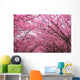 Sakura Arch