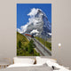 Matterhorn Railway from Zermatt