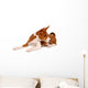 Little Basenji Puppy, Brindle Colour, 2 Month Wall Decal