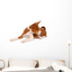 Little Basenji Puppy, Brindle Colour, 2 Month Wall Decal