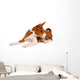 Little Basenji Puppy, Brindle Colour, 2 Month Wall Decal