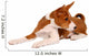 Little Basenji Puppy, Brindle Colour, 2 Month Wall Decal