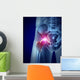 Hip Pain