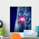 Hip Pain