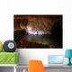 Mysterious Cave Pond Wall Decal