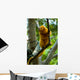 Golden Tamarin Monkey II Wall Mural