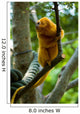 Golden Tamarin Monkey II Wall Mural