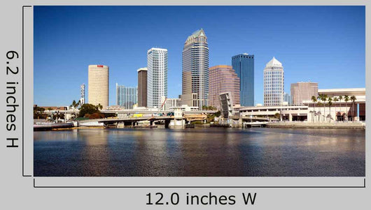 Squiddy Tampa Florida City Skyline - Vinyl Sticker Decal For