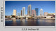 Tampa Bay Skyline