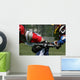 Lacrosse Hit Wall Mural