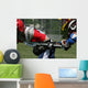 Lacrosse Hit Wall Mural