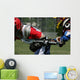 Lacrosse Hit Wall Mural
