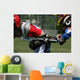 Lacrosse Hit Wall Mural