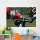 Lacrosse Hit Wall Mural