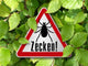 Ticks Wall Decal