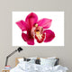 Purple Orchid Flower White Wall Decal
