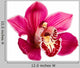 Purple Orchid Flower White Wall Decal