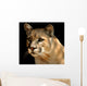 Cougar Portrait Wall Mural