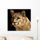 Cougar Portrait Wall Mural
