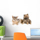 Cat of Abyssinian breed and the puppy of the spitz-dog Wall Mural