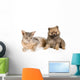 Cat of Abyssinian breed and the puppy of the spitz-dog Wall Mural