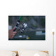Sea Fishing Wall Decal