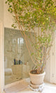 Tree Indoor Planter Bathroom Wall Mural
