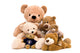 Teddy Bear Wall Decal