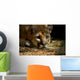 Cougar Wall Mural