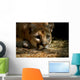 Cougar Wall Mural