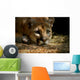Cougar Wall Mural
