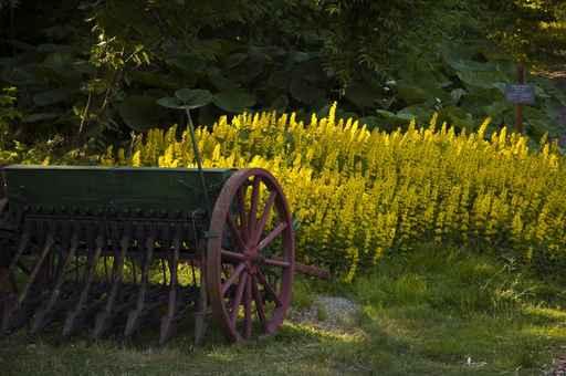 Antique Seeder Lawn Wall Decal