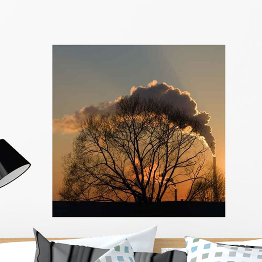 Smoke Sunset Wall Decal