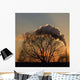 Smoke Sunset Wall Decal