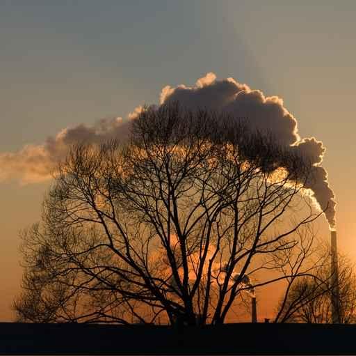 Smoke Sunset Wall Decal