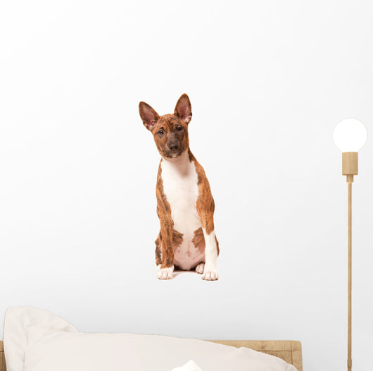 Basenji Puppy White Wall Decal