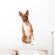 Basenji Puppy White Wall Decal