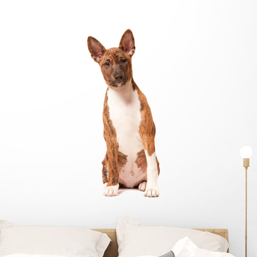 Basenji Puppy White Wall Decal