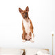 Basenji Puppy White Wall Decal