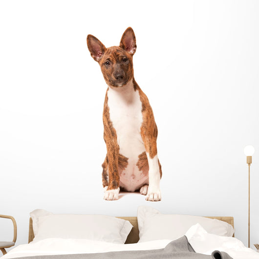 Basenji Puppy White Wall Decal