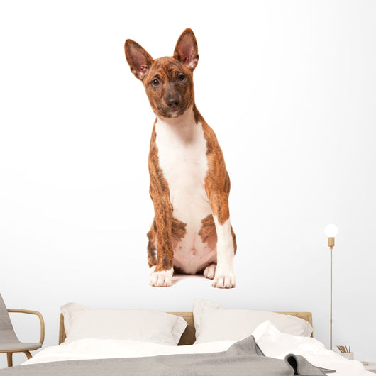 Basenji Puppy White Wall Decal