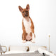 Basenji Puppy White Wall Decal