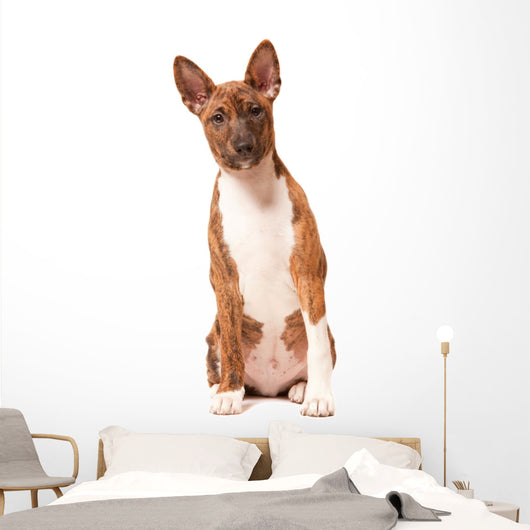 Basenji Puppy White Wall Decal