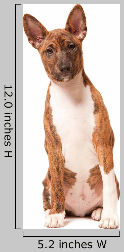 Basenji Puppy White Wall Decal